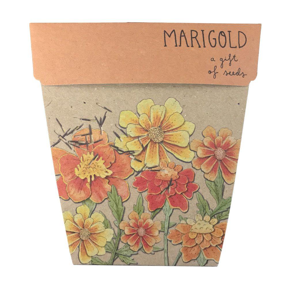 Sow 'n Sow Gift of Seeds Marigold