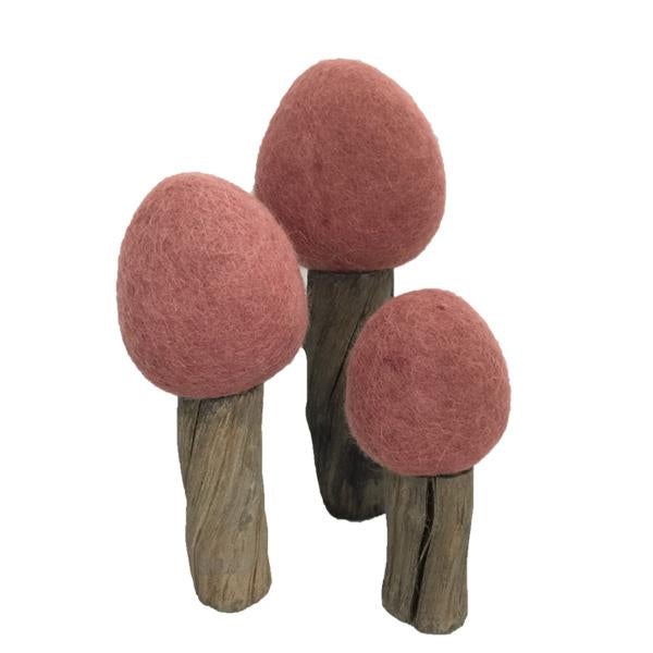 Papoose Earth Trees, Autumn