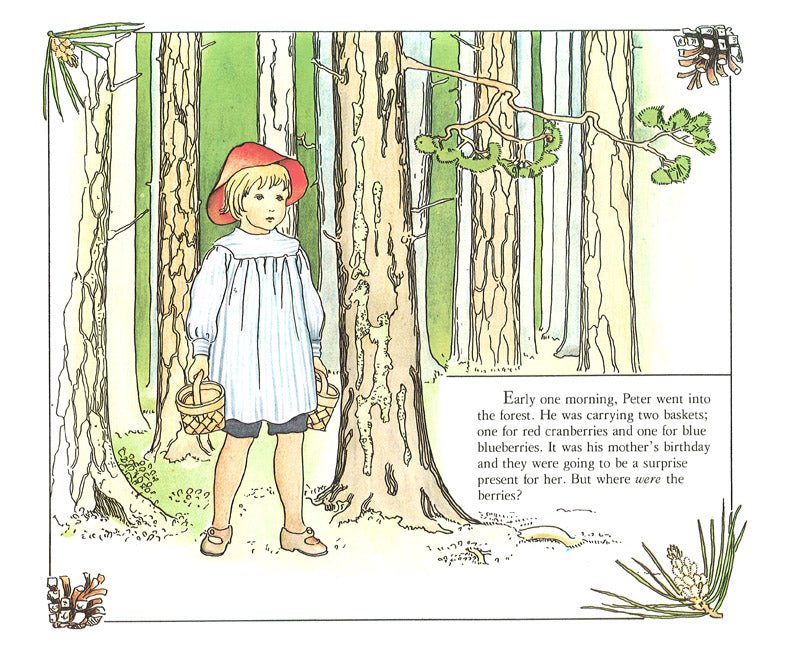 Peter In Blueberry Land - vendor-unknown - Honeybee Toys
