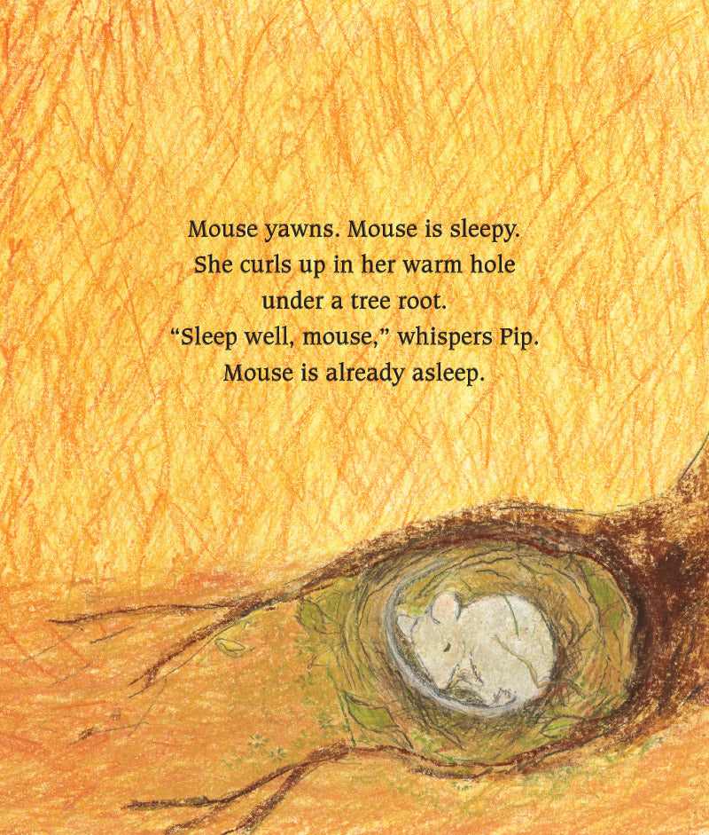 Pip the Gnome's Bedtime