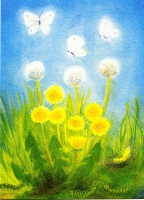 Postcard Caterpillars and Butterflies - vendor-unknown - Honeybee Toys