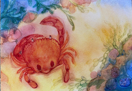 Postcard Sand Crab - vendor-unknown - Honeybee Toys