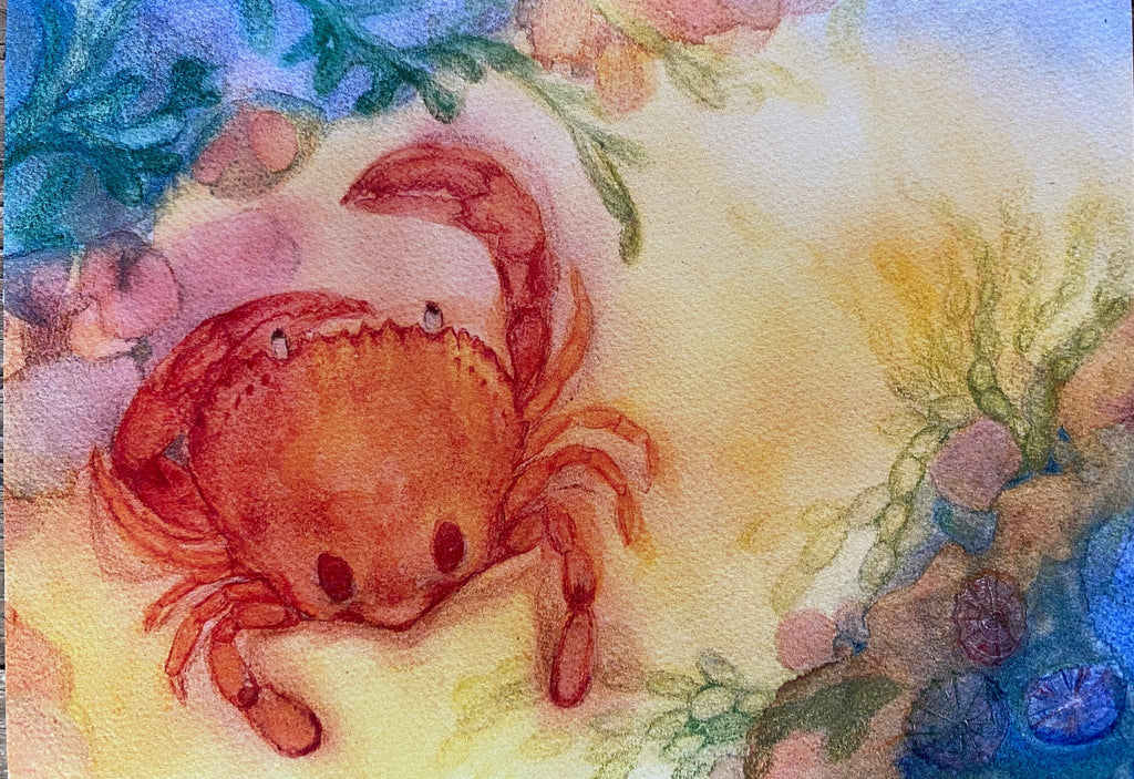 Postcard Sand Crab - vendor-unknown - Honeybee Toys