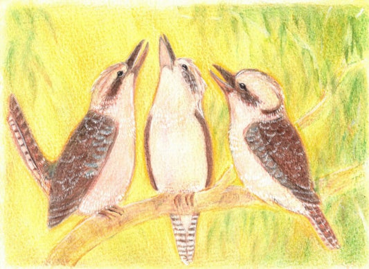 Postcard Spring Kookaburras - vendor-unknown - Honeybee Toys
