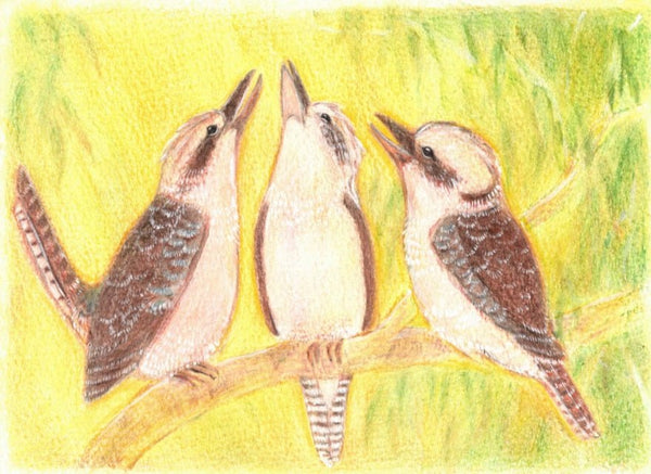 Postcard Spring Kookaburras