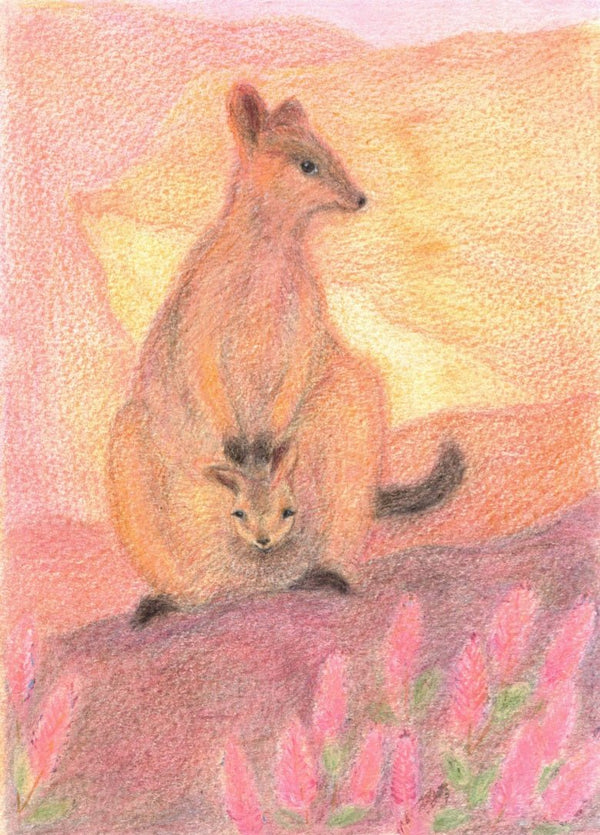 Postcard Spring Rock Wallaby