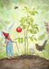 Postcard the First Ripe Tomato - vendor-unknown - Honeybee Toys