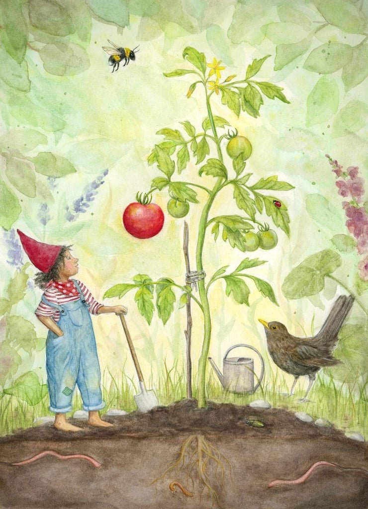 Postcard the First Ripe Tomato - vendor-unknown - Honeybee Toys