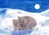 Postcard Winter Wombat - vendor-unknown - Honeybee Toys