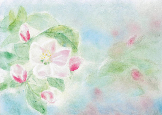 Seccorell Postcard Apple Blossom - vendor-unknown - Honeybee Toys