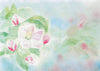 Seccorell Postcard Apple Blossom - vendor-unknown - Honeybee Toys