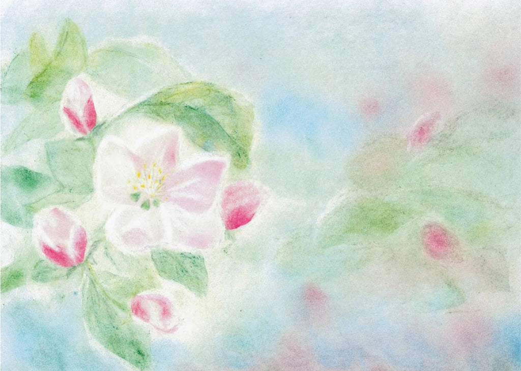 Seccorell Postcard Apple Blossom - vendor-unknown - Honeybee Toys