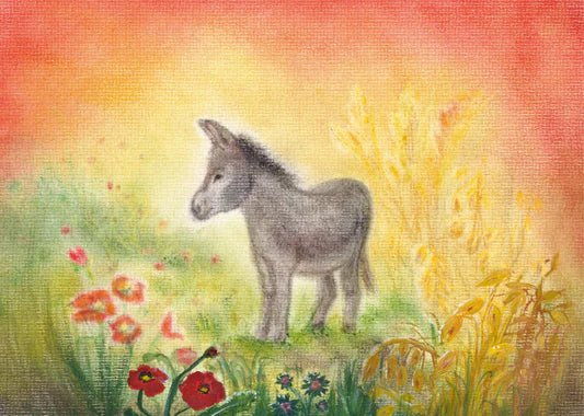 Seccorell Postcard Donkey - vendor-unknown - Honeybee Toys