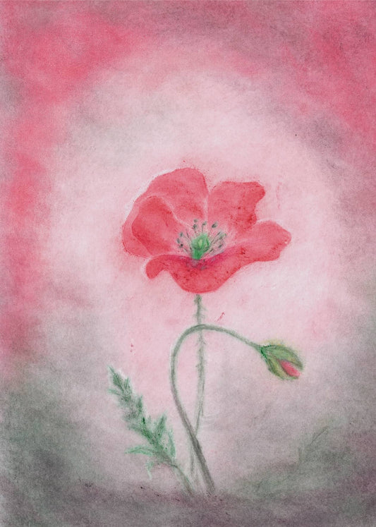 Seccorell Postcard Poppy - vendor-unknown - Honeybee Toys