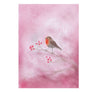 Seccorell Postcard Red Robin - vendor-unknown - Honeybee Toys