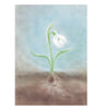 Seccorell Postcard Snow Drop - vendor-unknown - Honeybee Toys