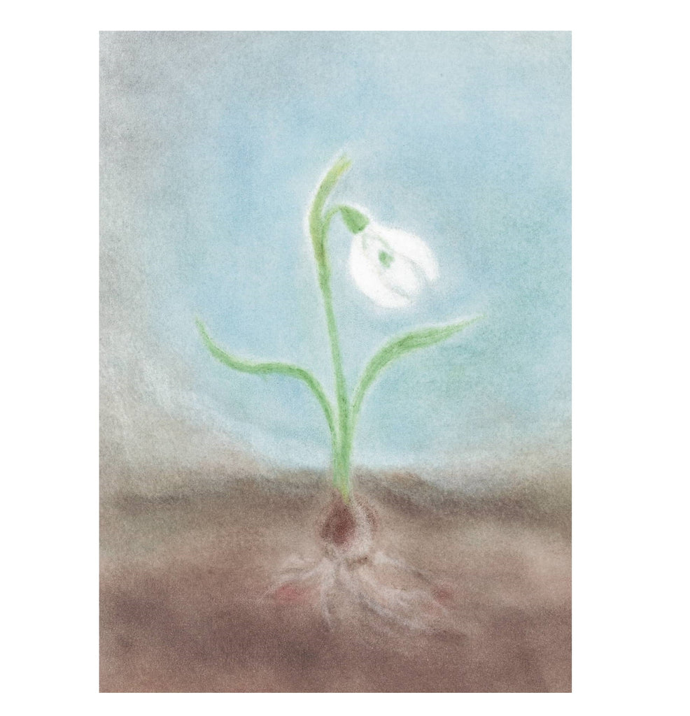 Seccorell Postcard Snow Drop - vendor-unknown - Honeybee Toys