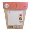 Sow 'n Sow Gift of Seeds Secret Garden