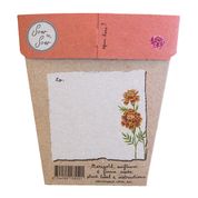 Sow 'n Sow Gift of Seeds Secret Garden