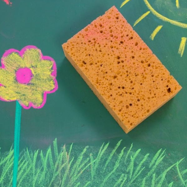 Sedulus viscose sponge for blackboard cleaning - vendor-unknown - Honeybee Toys