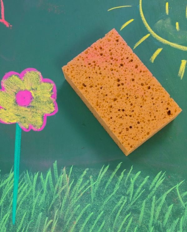 Sedulus viscose sponge for blackboard cleaning - vendor-unknown - Honeybee Toys