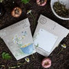 Sow 'n Sow Gift of Seeds Chamomile - vendor-unknown - Honeybee Toys