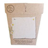 Sow 'n Sow Gift of Seeds Chamomile - vendor-unknown - Honeybee Toys