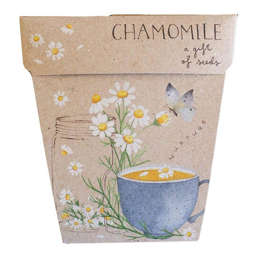 Sow 'n Sow Gift of Seeds Chamomile - vendor-unknown - Honeybee Toys