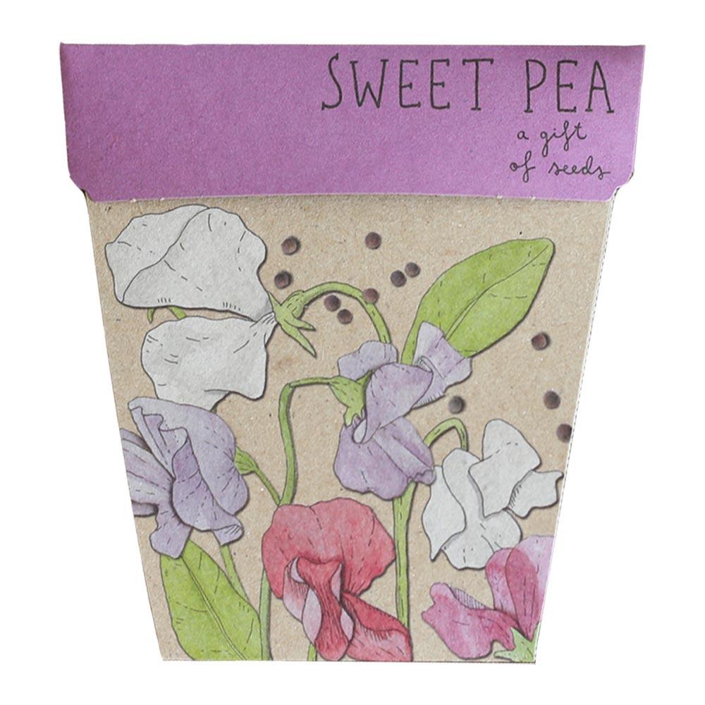 Sow 'n Sow Gift of Seeds Sweet Pea - vendor-unknown - Honeybee Toys