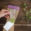 Sow 'n Sow Gift of Seeds Sweet Pea - vendor-unknown - Honeybee Toys