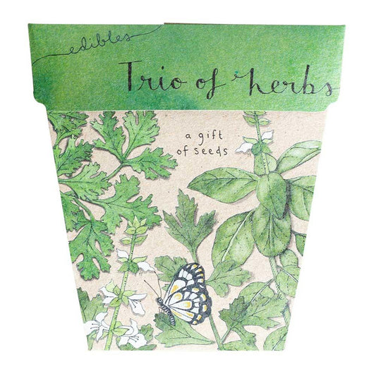 Sow 'n Sow Gift of Seeds Trio of Herbs - vendor-unknown - Honeybee Toys