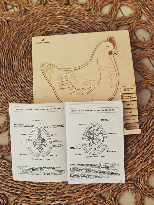 Stuka Puka Chicken or the Egg Puzzle - vendor-unknown - Honeybee Toys