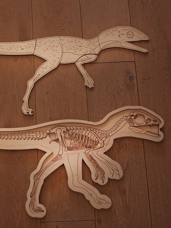 Stuka Puka Dinosaur Skeleton Puzzle - vendor-unknown - Honeybee Toys