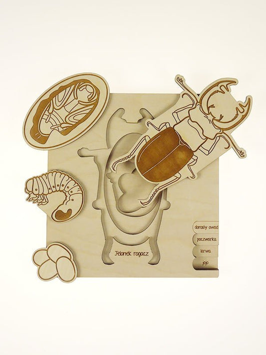 Stuka Puka Stag Beetle Puzzle - vendor-unknown - Honeybee Toys