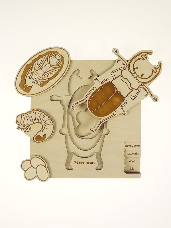 Stuka Puka Stag Beetle Puzzle - vendor-unknown - Honeybee Toys