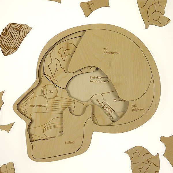 Stuka Puka Use Your Head! Puzzle - vendor-unknown - Honeybee Toys