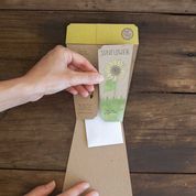 Sow 'n Sow Gift of Seeds Sunflower