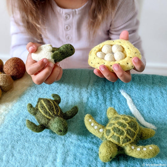 Tara Treasures Life Cycle of Green Sea Turtle - vendor-unknown - Honeybee Toys