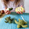 Tara Treasures Life Cycle of Green Sea Turtle - vendor-unknown - Honeybee Toys