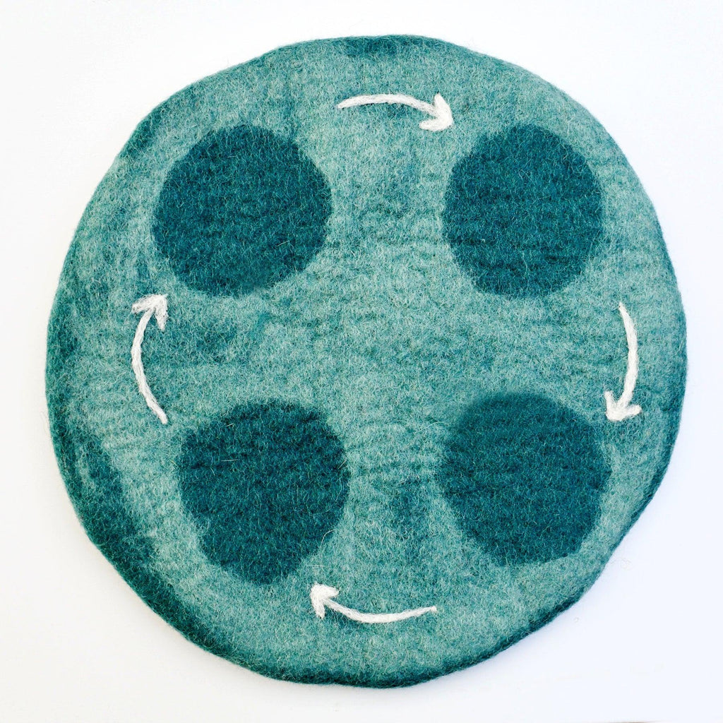 Tara Treasures Life Cycle Tray Playmat Water - vendor-unknown - Honeybee Toys