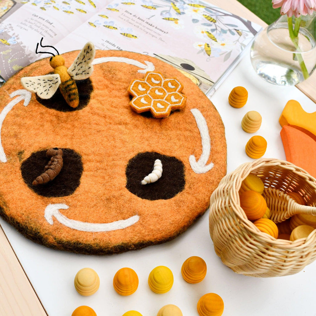 Tara Treasures Lifecycle of a Bee - vendor-unknown - Honeybee Toys