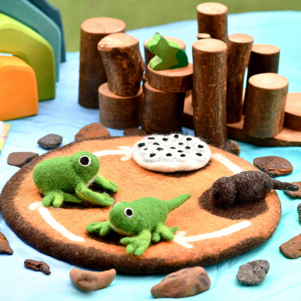 Tara Treasures Lifecycle of a Frog - vendor-unknown - Honeybee Toys