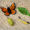 Tara Treasures Lifecycle of the Monach Butterfly - vendor-unknown - Honeybee Toys