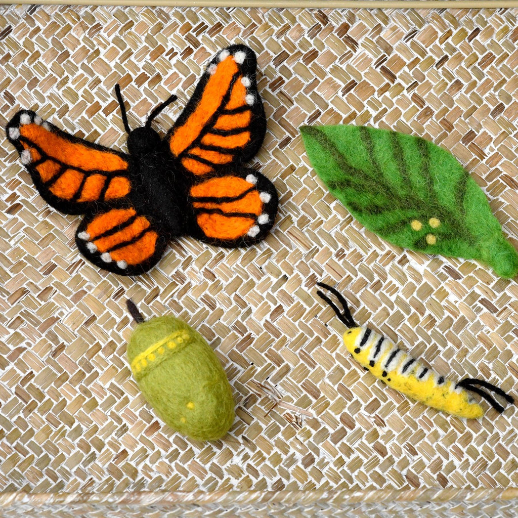 Tara Treasures Lifecycle of the Monach Butterfly - vendor-unknown - Honeybee Toys