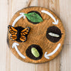 Tara Treasures Lifecycle of the Monach Butterfly - vendor-unknown - Honeybee Toys