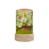 Toverlux Shades Baukje Exler Seasons Set of 5 - vendor-unknown - Honeybee Toys