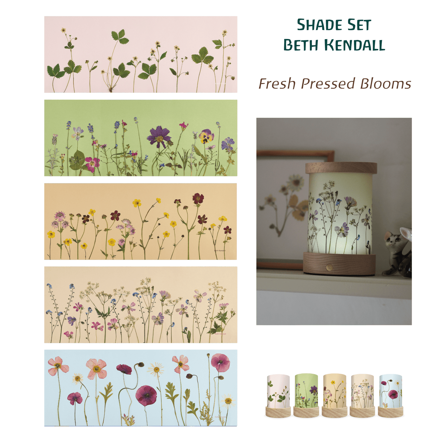 Toverlux Shades Beth Kendall Pressed Garden Blooms - vendor-unknown - Honeybee Toys