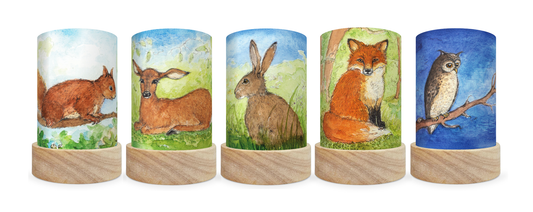 Toverlux Shades Eentje Van Margo Forest Animals - vendor-unknown - Honeybee Toys