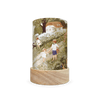 Toverlux Shades Robin Pieterse Seasonal Stroll Set of 5 - vendor-unknown - Honeybee Toys