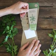 Sow 'n Sow Gift of Seeds Trio of Herbs
